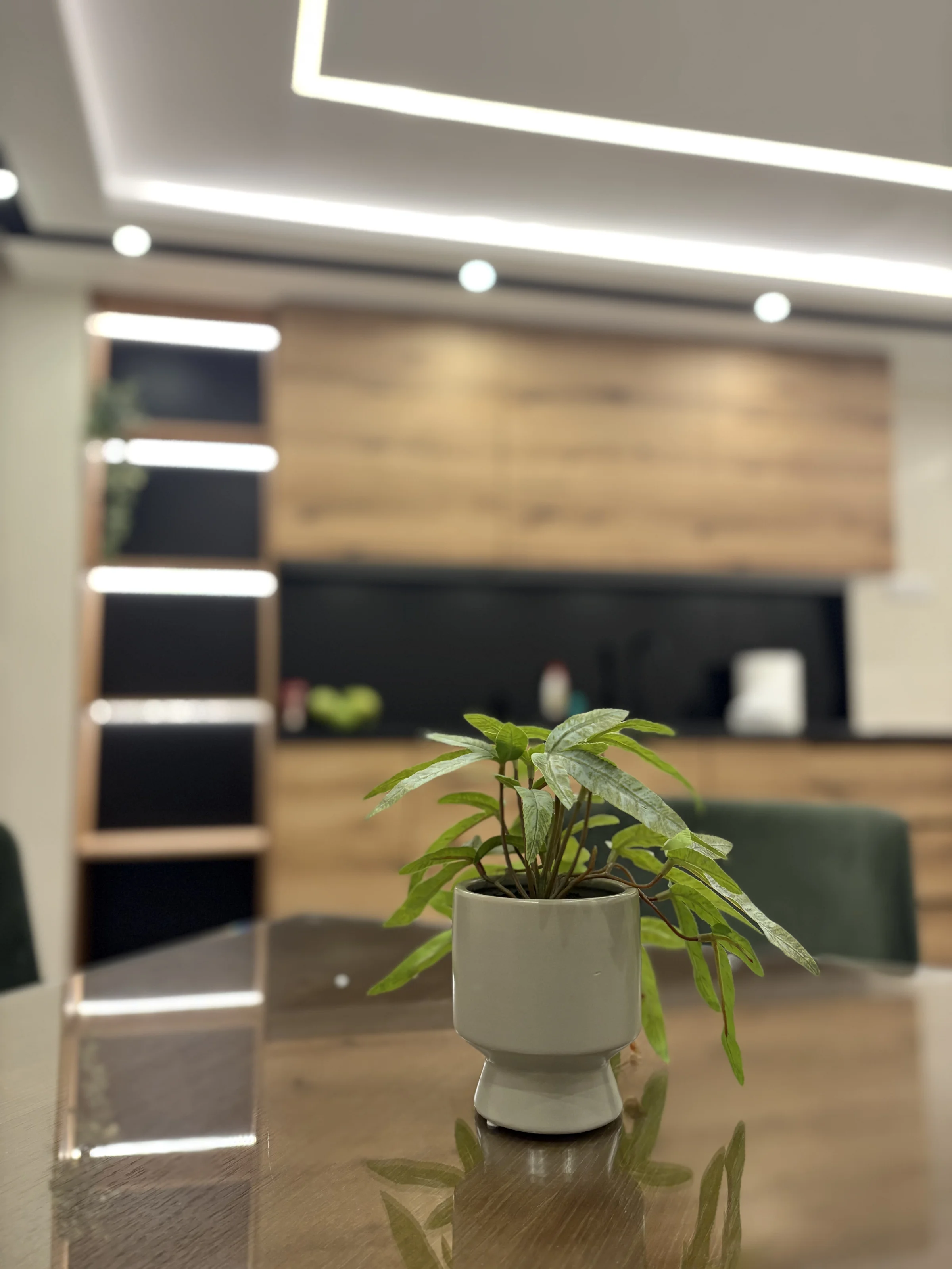 Princ Lux jaccuzi and sauna with free parking