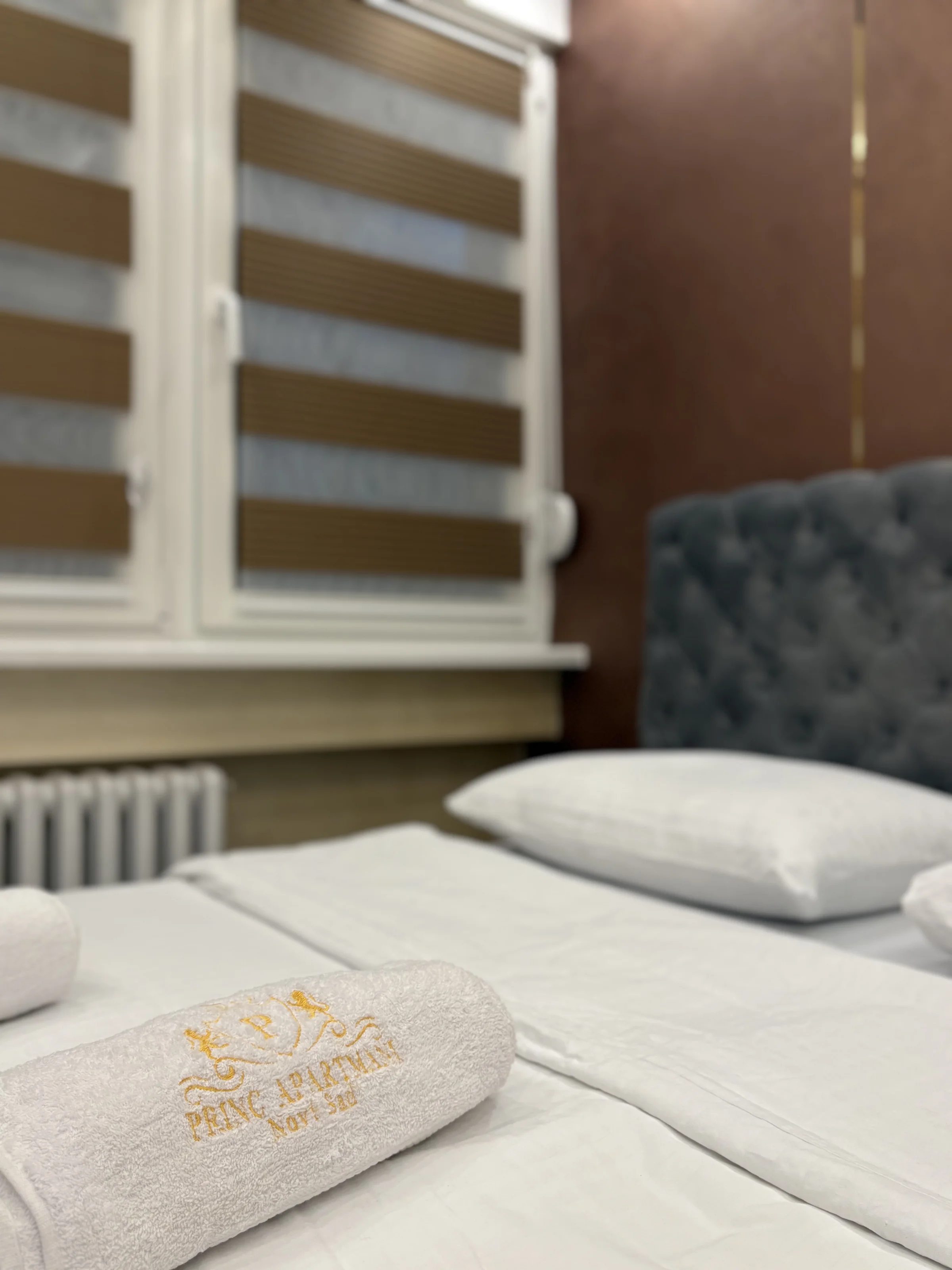 Relax Apartment with sauna and jacuzzi in city center