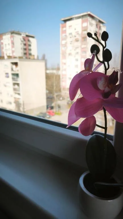 Urban Nest Detelinara FREE public PARKING